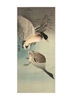 Two Wild Ducks in Flight Above Reeds, a Full Moon Behind