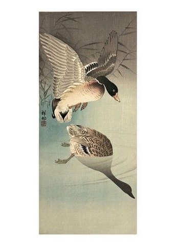 Two Wild Ducks in Flight Above Reeds, a Full Moon Behind - фото 1