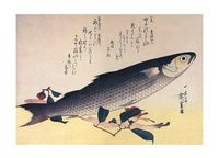 Grey Mullet and Camellia - Открытки Календари Плакаты