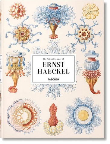 The Art and Science of Ernst Haeckel