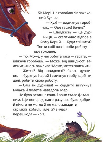 Мері - фото 7