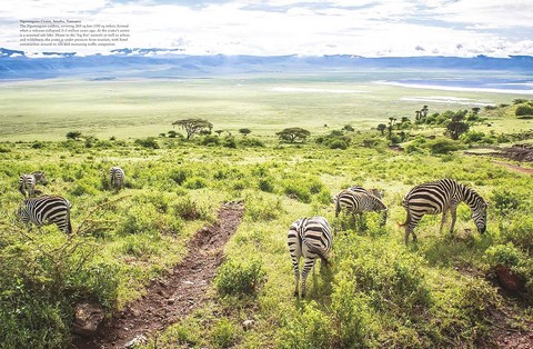 Endangered Places. Wonders Of Our Planet series - фото 2