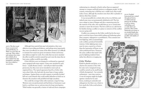 Celts. The History and Legacy of One of the Oldest Cultures in Europe - фото 5