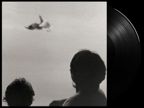 Federico Albanese – Before And Now Seems Infinite (LP, Album, Vinyl) - фото 2