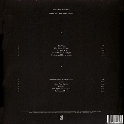 Federico Albanese – Before And Now Seems Infinite (LP, Album, Vinyl) - фото 3