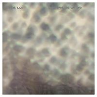 Carlos Cipa – Ourselves, as we are (LP, Album, Vinyl)