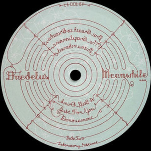 Daedelus – Meanwhile (EP, Album, Vinyl) - фото 3