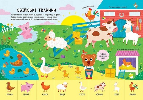 Головна книга малюка. Книга найважливіших знань - фото 5