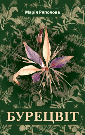 %D0%91%D1%83%D1%80%D0%B5%D1%86%D0%B2%D1%96%D1%82+%28%D0%95%D0%BB%D0%B5%D0%BA%D1%82%D1%80%D0%BE%D0%BD%D0%BD%D0%B0+%D0%BA%D0%BD%D0%B8%D0%B3%D0%B0%29 - фото {NUM}