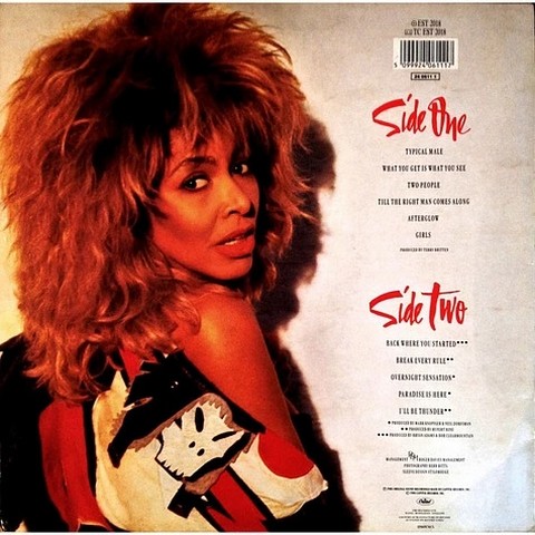 Tina Turner – Break Every Rule (LP, Album, Vinyl) - фото 2