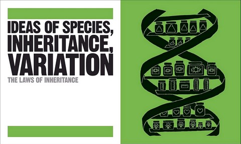 The Biology Book. Big Ideas Simply Explained - фото 8