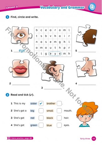 Team Together 1 Activity Book - фото 4