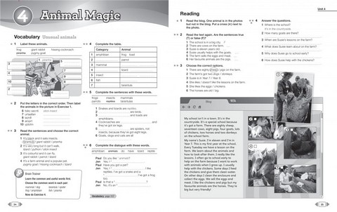 Next Move 1 Workbook + CD - фото 2