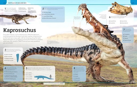 Dinosaur Knowledge Genius - фото 7