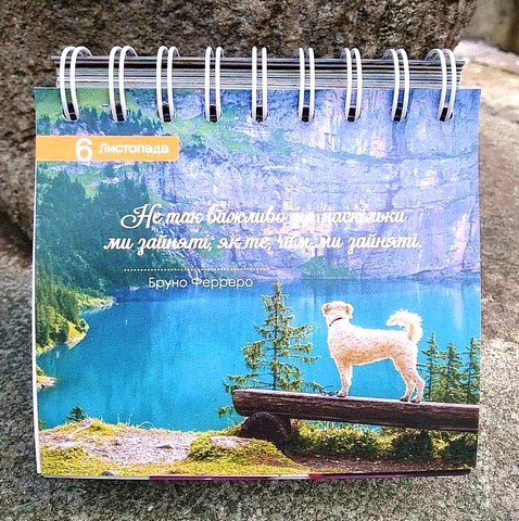 365 моментів щастя на щодень - фото 4