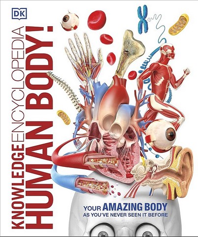 Knowledge Encyclopedia. Human Body! - фото 1