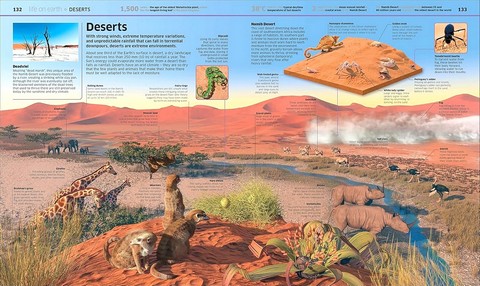 Knowledge Encyclopedia. Earth! - фото 10