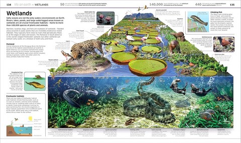 Knowledge Encyclopedia. Earth! - фото 11