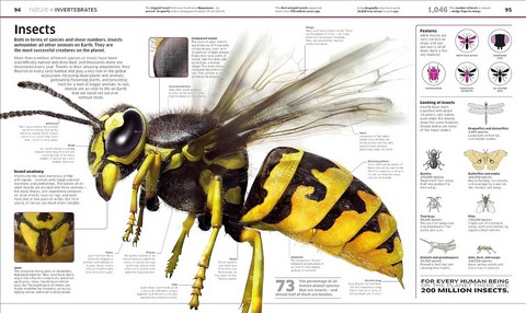 Knowledge Encyclopedia - фото 3