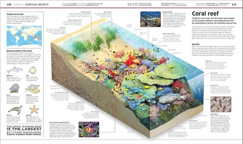 Knowledge Encyclopedia - фото 4