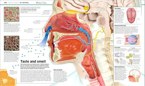 Knowledge Encyclopedia - фото 5