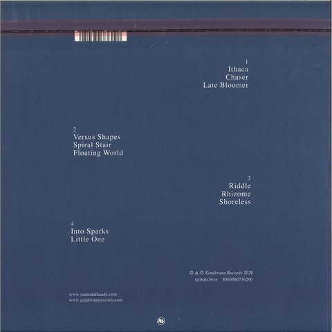 Mammal Hands – Captured Spirits (2LP, Album, Vinyl) - фото 2