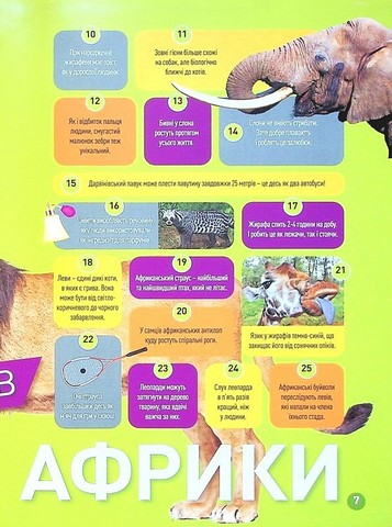 National Geographic Kids. Гррр! 100 цікавих фактів про тварин Африки - фото 4