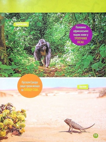 National Geographic Kids. Гррр! 100 цікавих фактів про тварин Африки - фото 6