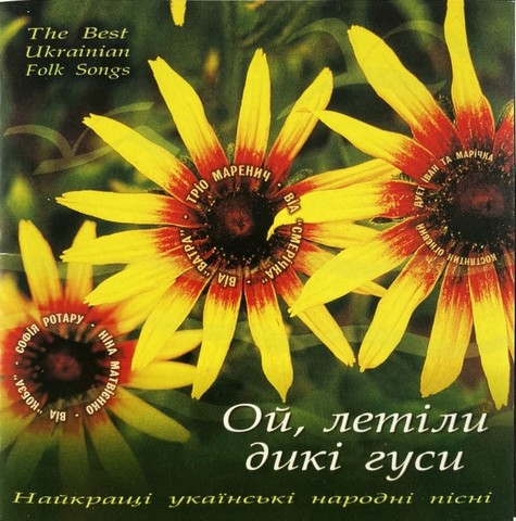 Ой, Летіли Дикі Гуси (Найкращі Українські Народні Пісні) (CD, Compilation) - фото 1