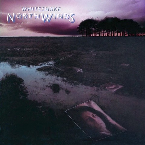 Whitesnake – North Winds (LP, Album, Black Ice Vinyl) - фото 1