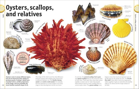 The Rock and Gem Book - фото 7