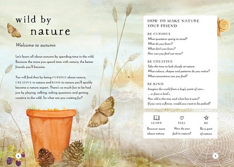 A Field Guide to Autumn. Play and learn in nature - фото 3