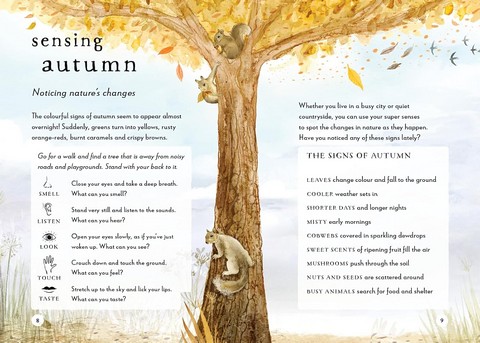 A Field Guide to Autumn. Play and learn in nature - фото 4