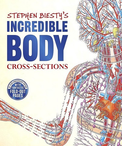 's Incredible Body Cross-sections