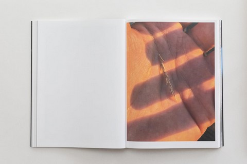 Paul Hutchinson. Remnants - фото 4