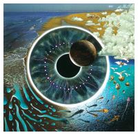 Pink Floyd – Pulse (2CD, Reissue)