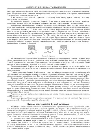 ЗНО / НМТ 2025. Біологія. Комплексне видання - фото 5
