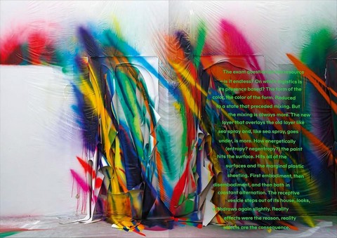 Katharina Grosse. Why Three Tones Do Not Form a Triangle - фото 2