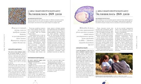 Вагітність день за днем - фото 6