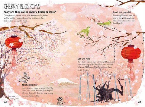 The Big Book of Blooms - фото 5