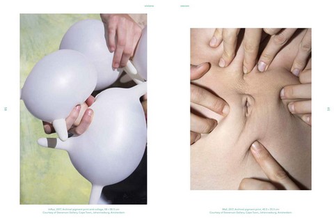 Why Photography?: New Visions: The Henie Onstad Triennial for Photography and New Media - фото 3