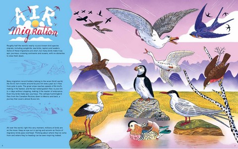 Epic Animal Journeys. Migration and navigation by air, land and sea - фото 3