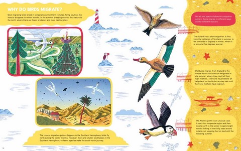 Epic Animal Journeys. Migration and navigation by air, land and sea - фото 4