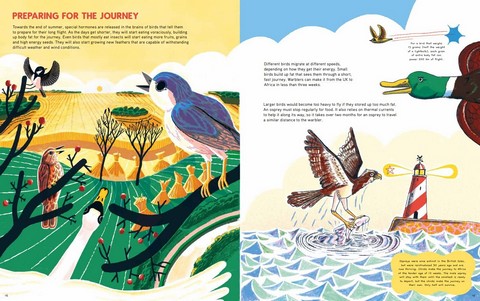 Epic Animal Journeys. Migration and navigation by air, land and sea - фото 5