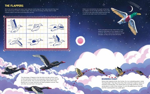 Epic Animal Journeys. Migration and navigation by air, land and sea - фото 6