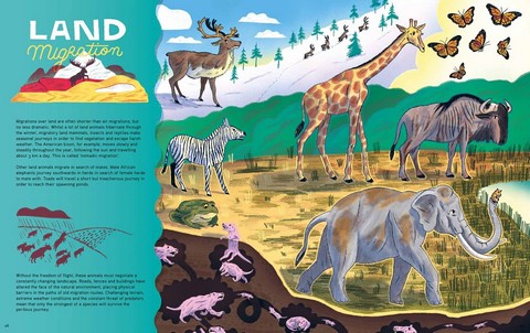 Epic Animal Journeys. Migration and navigation by air, land and sea - фото 7