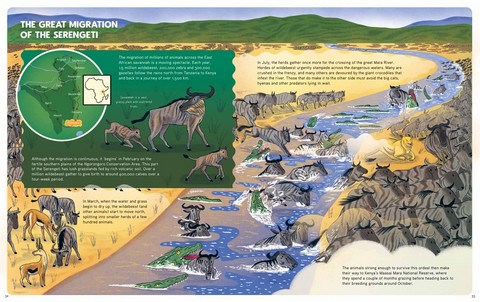 Epic Animal Journeys. Migration and navigation by air, land and sea - фото 8