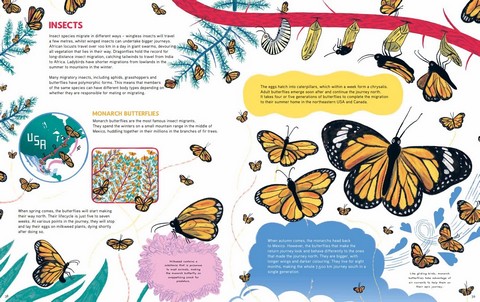 Epic Animal Journeys. Migration and navigation by air, land and sea - фото 9