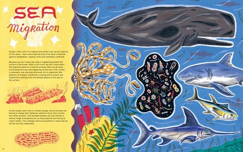 Epic Animal Journeys. Migration and navigation by air, land and sea - фото 10