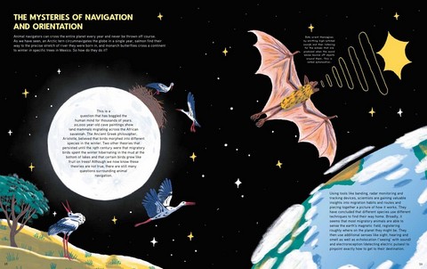 Epic Animal Journeys. Migration and navigation by air, land and sea - фото 11